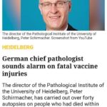 "Es gibt keine Viren!" Prof. Dr. Johann Menser (Teil 1 zum Thema)