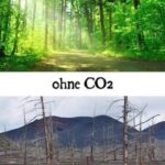 CO2: die Grundlage des Lebens auf der Erde