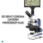 2024-06-13_11-38-24-1